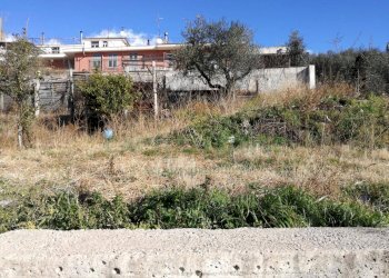 Foto 9 - Terreno agricolo via san francesco, Avella - foto 9