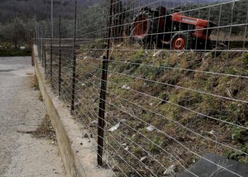 Foto 11 - Terreno agricolo via san francesco, Avella - foto 11