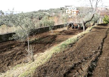 Foto 19 - Terreno agricolo via san francesco, Avella - foto 19