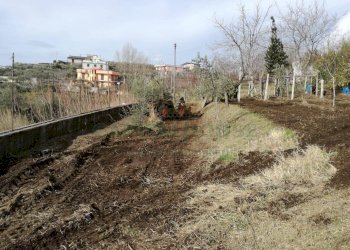 Foto 21 - Terreno agricolo via san francesco, Avella - foto 21