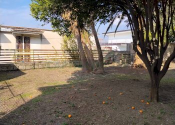 Foto 24 - Casa indipendente sirignano, Sirignano - foto 24