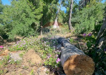 Giardino - Semi-detached house VIA PADRE PIO
 
SNC, Cefalù - photo 71