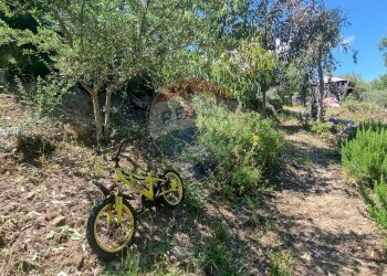 Giardino - Semi-detached house VIA PADRE PIO
 
SNC, Cefalù - photo 73