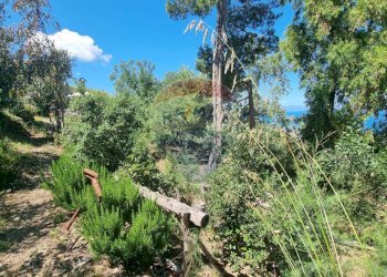 Giardino - Semi-detached house VIA PADRE PIO
 
SNC, Cefalù - photo 74