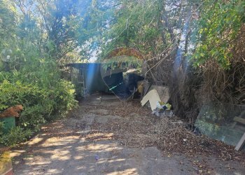 Giardino - Villa Contrada Ciandro, Casteldaccia - foto 65