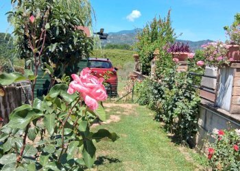 Foto 6 - Villa a Schiera via mandrone
 
6/b, Casal Velino - foto 6