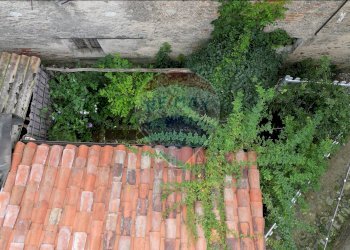 Giardino - Casa indipendente Netro - foto 52