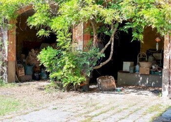 Giardino - Villa Magenta
 
12, Ghemme - foto 54