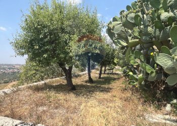 Giardino - Casa semi indipendente C.Da San Giacomo presso Fattoria Musso, Ragusa - foto 27