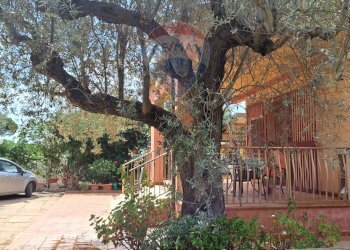 Giardino - Villa C/DA DIRILLO, Acate - foto 6