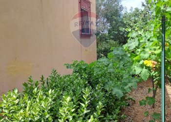 Giardino - Villa C/DA DIRILLO, Acate - foto 13