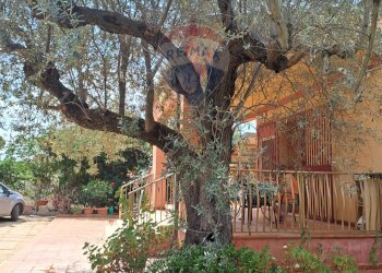 Giardino - Villa C/DA DIRILLO, Acate - foto 28