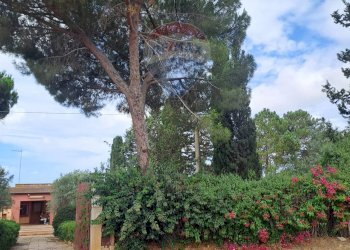 Giardino - Villa C/DA DIRILLO, Acate - foto 32