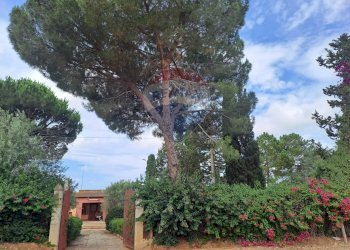 Giardino - Villa C/DA DIRILLO, Acate - foto 35