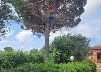 Giardino - Villa C/DA DIRILLO, Acate - foto 36