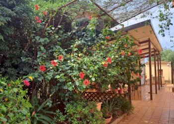 Giardino - Villa C/DA DIRILLO, Acate - foto 39