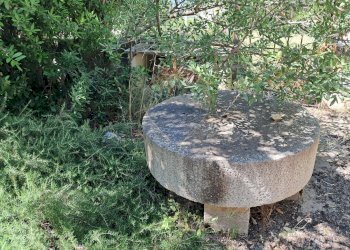 Giardino - Rustico contrada Tramostera
 
snc, Chiaramonte Gulfi - foto 8