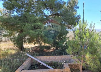 Giardino - Rustico contrada Tramostera
 
snc, Chiaramonte Gulfi - foto 19