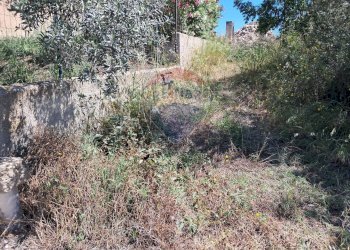 Giardino - Rustico contrada Tramostera
 
snc, Chiaramonte Gulfi - foto 29