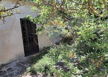 Giardino - Rustico contrada Tramostera
 
snc, Chiaramonte Gulfi - foto 33