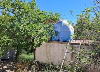 Giardino - Rustico contrada Tramostera
 
snc, Chiaramonte Gulfi - foto 49