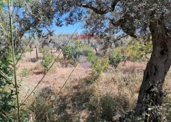Vista delle montagne - Rustico contrada Tramostera
 
snc, Chiaramonte Gulfi - foto 54