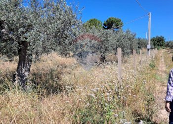 Non correlato - Rustico contrada Tramostera
 
snc, Chiaramonte Gulfi - foto 60