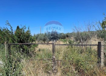 Non correlato - Rustico contrada Tramostera
 
snc, Chiaramonte Gulfi - foto 64