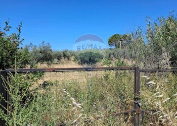 Giardino - Rustico contrada Tramostera
 
snc, Chiaramonte Gulfi - foto 66