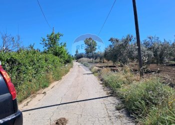 Vista delle montagne - Rustico contrada Tramostera
 
snc, Chiaramonte Gulfi - foto 68
