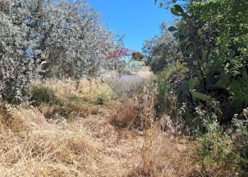 Non correlato - Terreno agricolo contrada tramostera, Chiaramonte Gulfi - foto 5