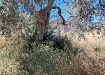 Non correlato - Terreno agricolo contrada tramostera, Chiaramonte Gulfi - foto 6
