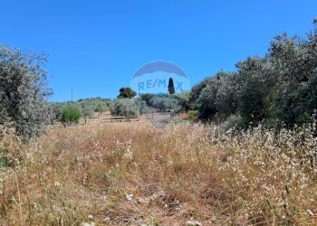 Vista delle montagne - Terreno agricolo contrada tramostera, Chiaramonte Gulfi - foto 8