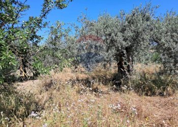 Non correlato - Terreno agricolo contrada tramostera, Chiaramonte Gulfi - foto 9
