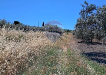 Vista delle montagne - Terreno agricolo contrada tramostera, Chiaramonte Gulfi - foto 10