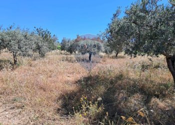 Non correlato - Terreno agricolo contrada tramostera, Chiaramonte Gulfi - foto 11