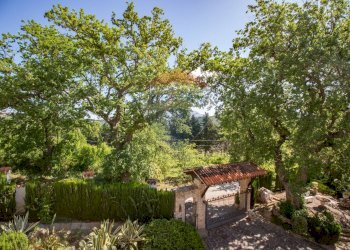 Giardino - Villa Contrada Colle Cucco
 
14, Bucchianico - photo 60