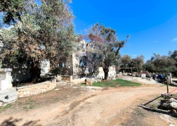 Giardino - Rustico Carovigno - foto 6