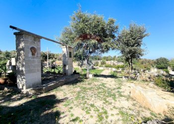 Giardino - Rustico Carovigno - foto 10