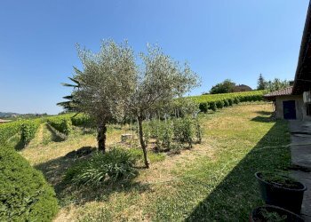 Foto 7 - Villa Via Agliano
 
2, Montegrosso d'Asti - foto 7