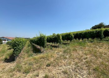 Foto 9 - Villa Via Agliano
 
2, Montegrosso d'Asti - foto 9