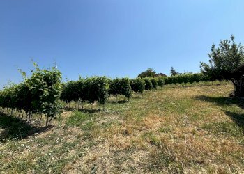 Foto 11 - Villa Via Agliano
 
2, Montegrosso d'Asti - foto 11