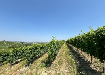 Foto 14 - Villa Via Agliano
 
2, Montegrosso d'Asti - foto 14