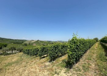 Foto 15 - Villa Via Agliano
 
2, Montegrosso d'Asti - foto 15