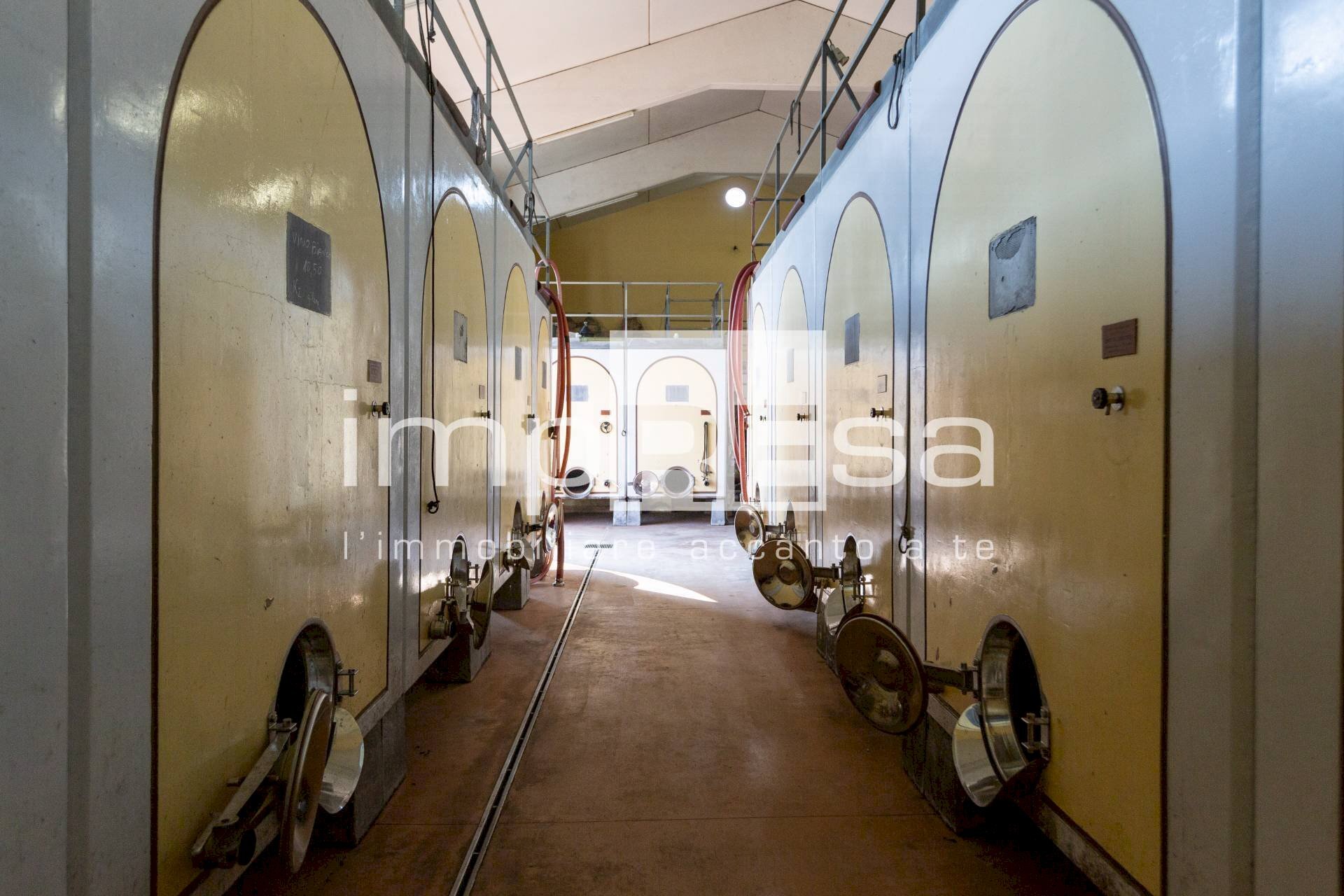 Foto 1 - Azienda agricola Ormelle - foto 1