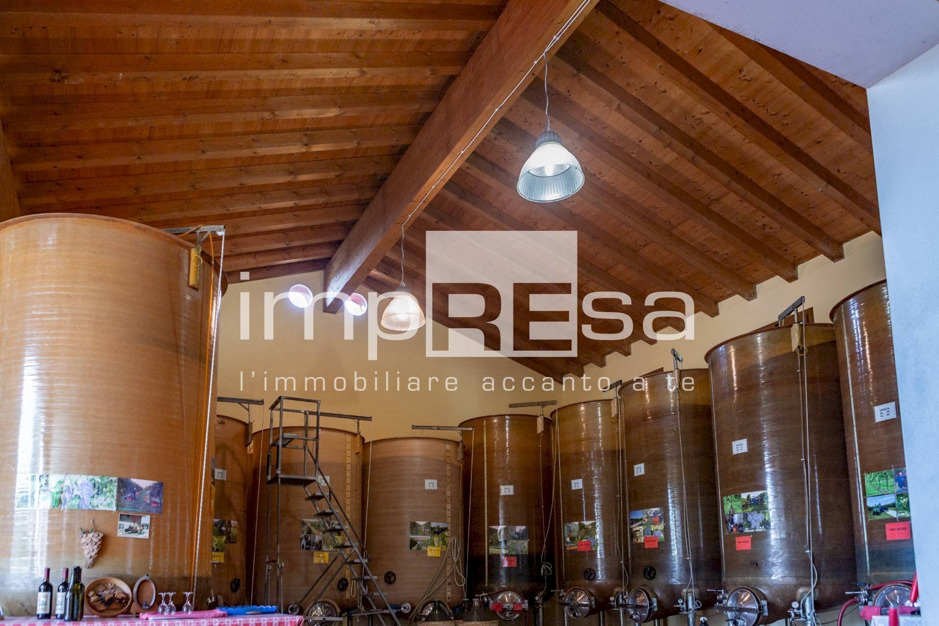 Foto 2 - Azienda agricola Ormelle - foto 2