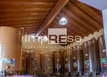 Foto 2 - Azienda agricola Ormelle - foto 2