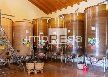 Foto 3 - Azienda agricola Ormelle - foto 3