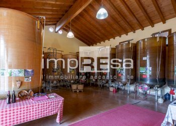 Foto 4 - Azienda agricola Ormelle - foto 4