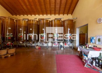 Foto 5 - Azienda agricola Ormelle - foto 5